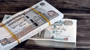 زيادة معاشات يناير 2026 ترتفع 260 جنيه والحد الأقصى يصل إلى 13,360 جنيه